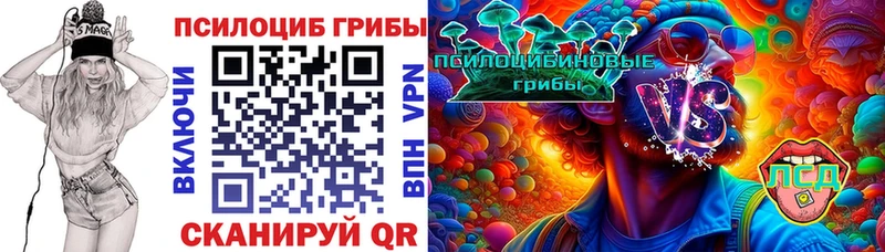 mega ССЫЛКА  наркотики  Ряжск  Псилоцибиновые грибы мицелий 