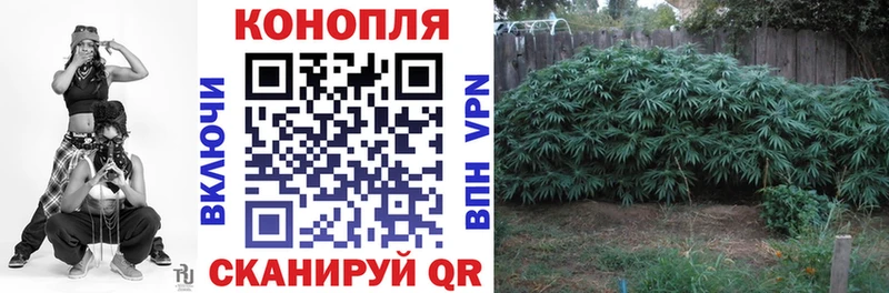 omg вход  магазин    Ряжск  Марихуана OG Kush 